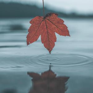 日韩三级片自拍视频
